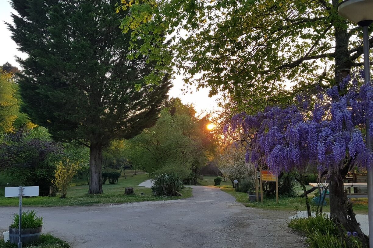 Camping Chez Gendron - Bild 1 Camping Chez Gendron - Bild 1