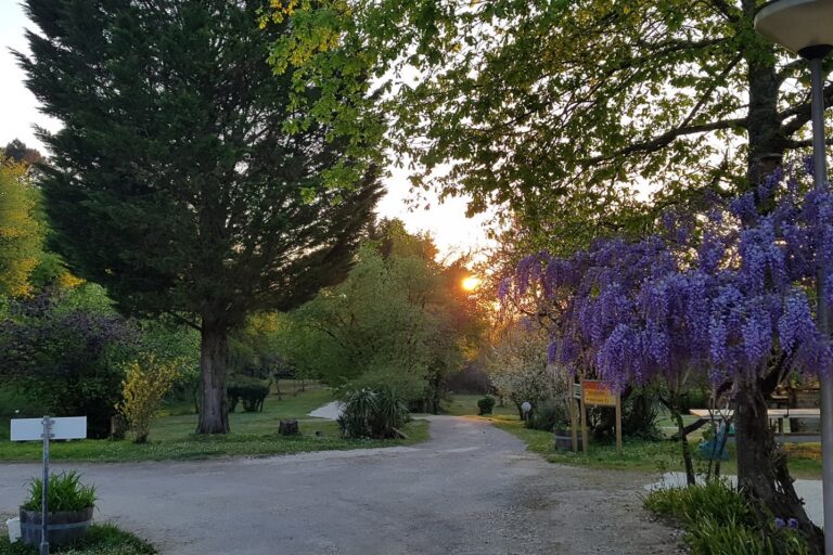 Camping Chez Gendron - Bild 1