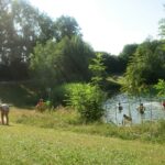 Camping Christophorus - Bild 3 Camping Christophorus - Bild 3