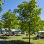 Camping Colleverde - Bild 6