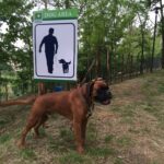 Camping Colleverde - Bild 8