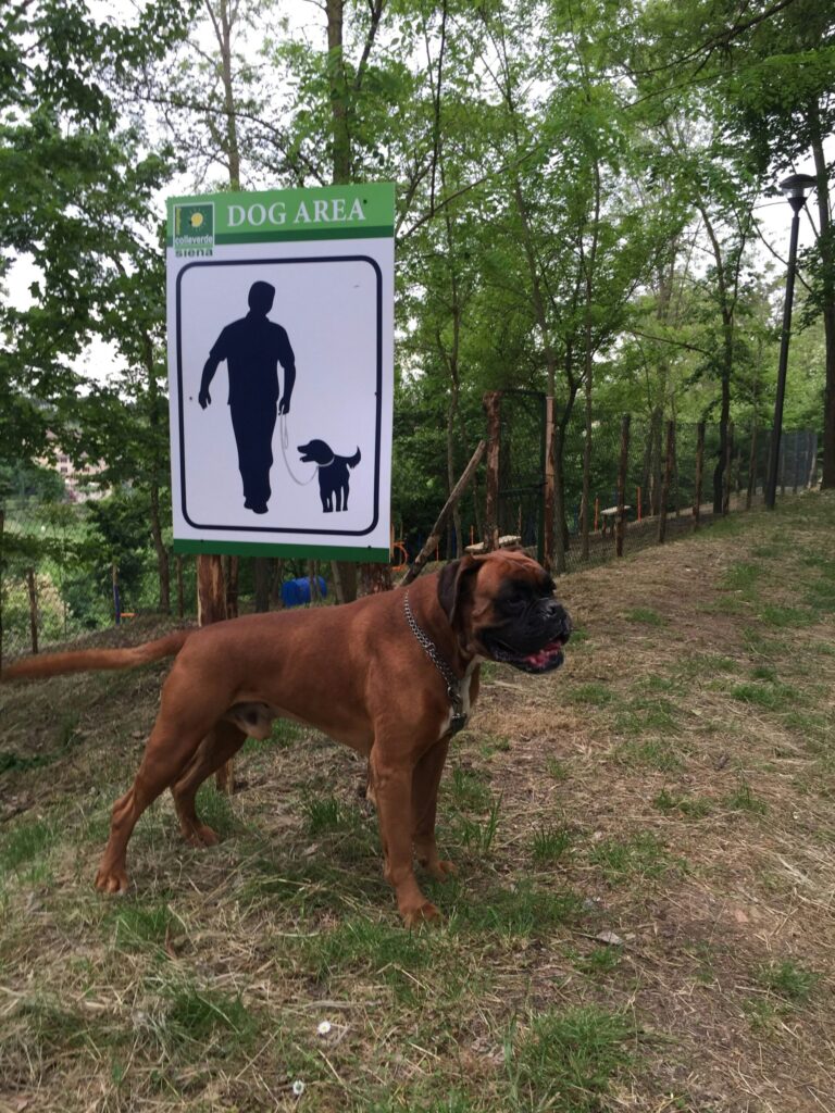 Camping Colleverde - Bild 8