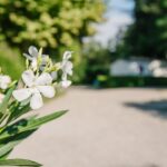 Camping Côté Vercors - Bild 20