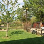 Camping Covelo - Bild 2