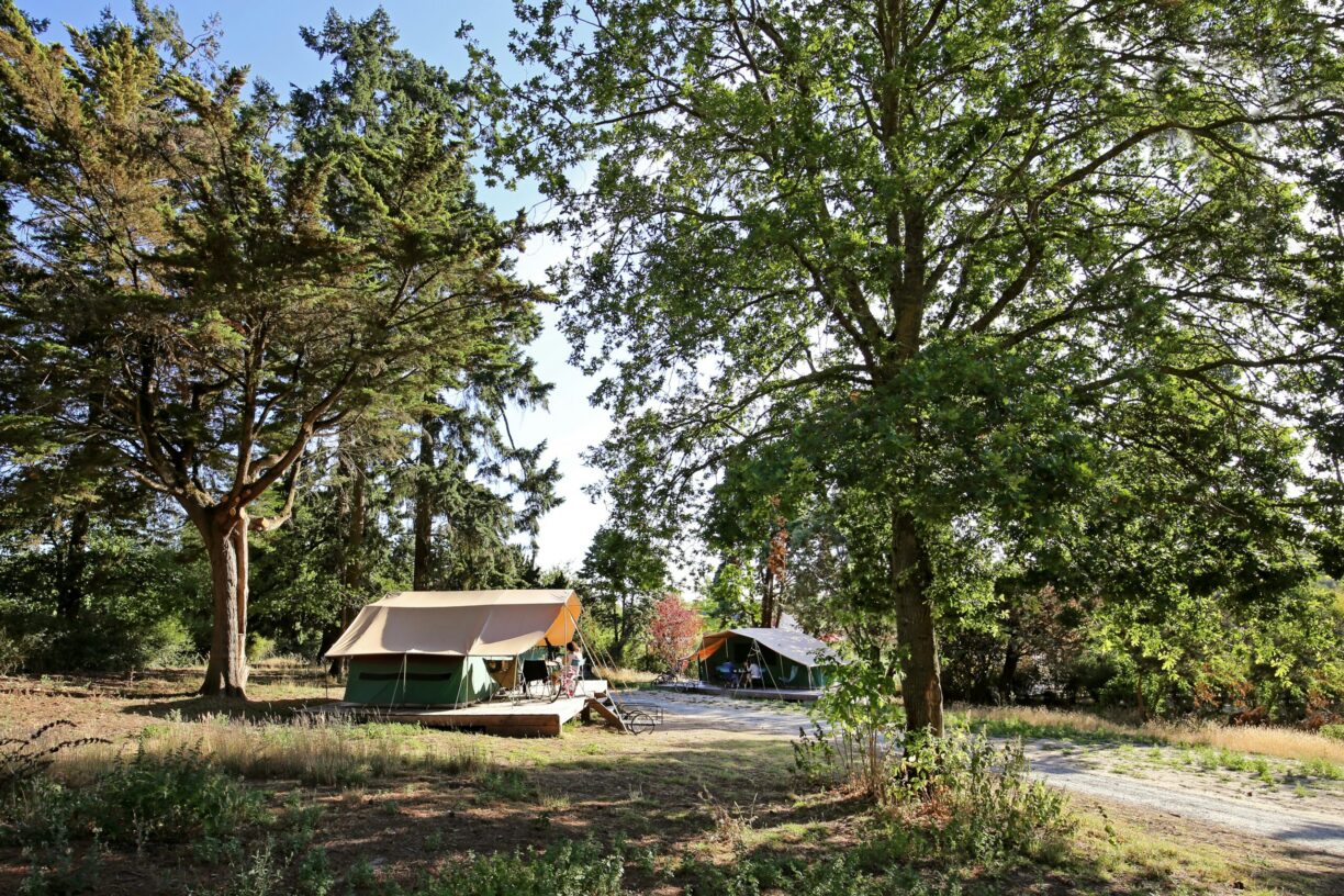 Camping D'angers - Lac De Maine - Bild 5 Camping D'angers - Lac De Maine - Bild 5