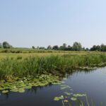 Camping D'hof - Bild 5 Camping D'hof - Bild 5