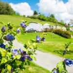 Camping D'arrouach - Bild 10