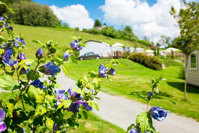 Camping D'arrouach - Bild 10