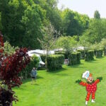 Camping De Betuwe Hoeve - Bild 7