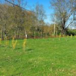 Camping De Bourg Charente - Bild 3