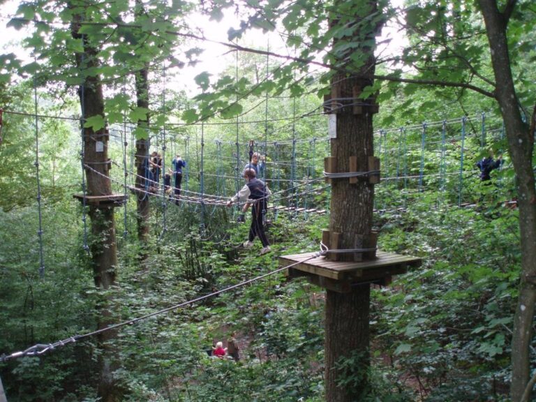 Camping De Chênefleur - Bild 14