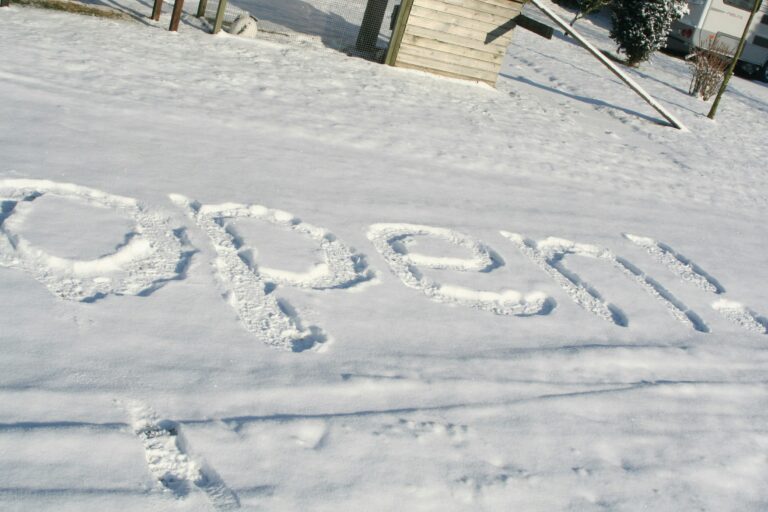 Camping De Grienduil - Bild 10