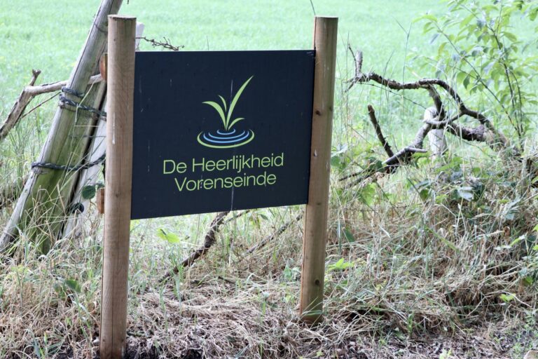 Camping De Heerlijkheid Vorenseinde - Bild 8 Camping De Heerlijkheid Vorenseinde - Bild 8