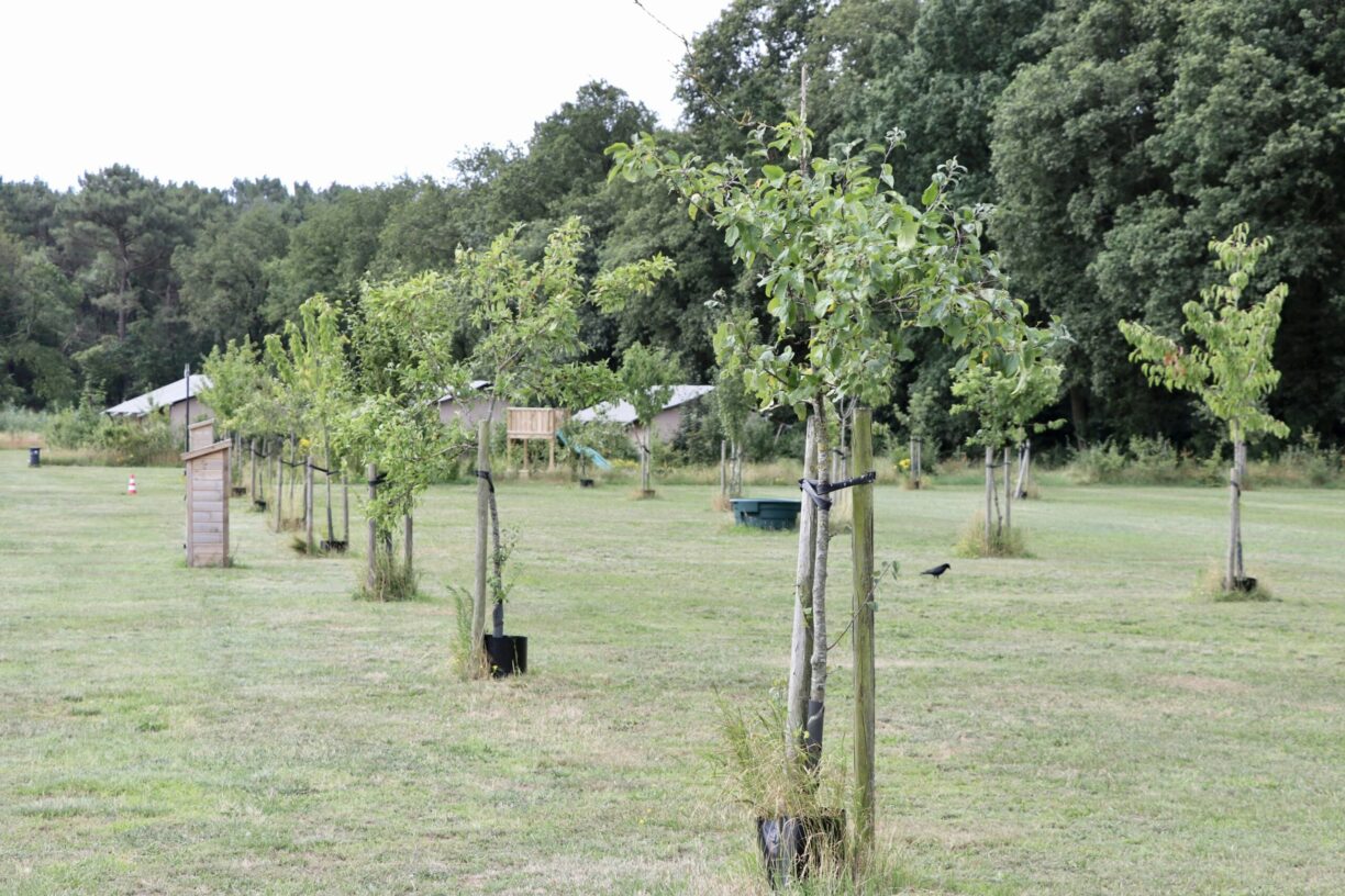 Camping De Heerlijkheid Vorenseinde - Bild 9 Camping De Heerlijkheid Vorenseinde - Bild 9