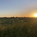 Camping De Hof Van Eeden - Bild 6