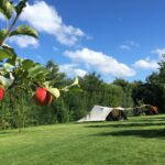 Camping De Kamperhoek - Bild 7 Camping De Kamperhoek - Bild 7