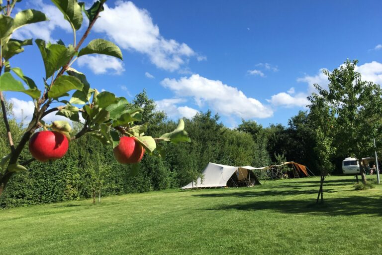 Camping De Kamperhoek - Bild 7 Camping De Kamperhoek - Bild 7