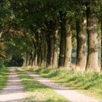 Camping De Kei - Bild 1 Camping De Kei - Bild 1