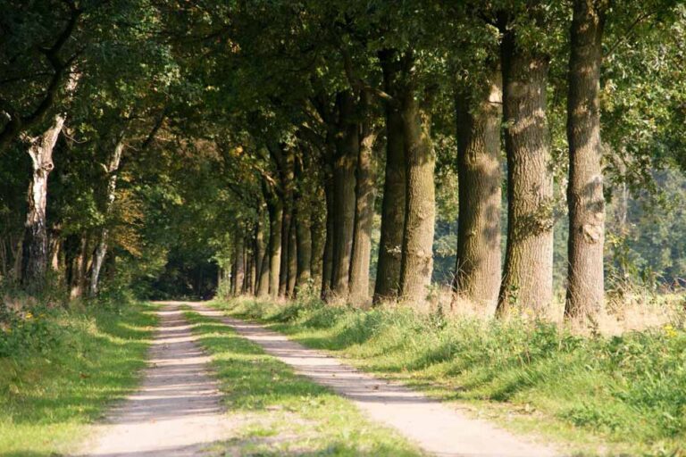 Camping De Kei - Bild 1