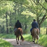 Camping De Kernéjeune - Bild 10