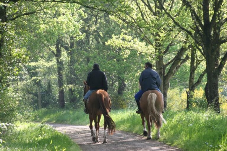 Camping De Kernéjeune - Bild 10