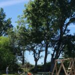 Camping De Kersentic - Bild 12