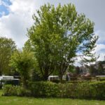 Camping De La Belle Etoile - Bild 2 Camping De La Belle Etoile - Bild 2