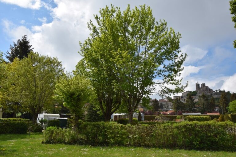 Camping De La Belle Etoile - Bild 2