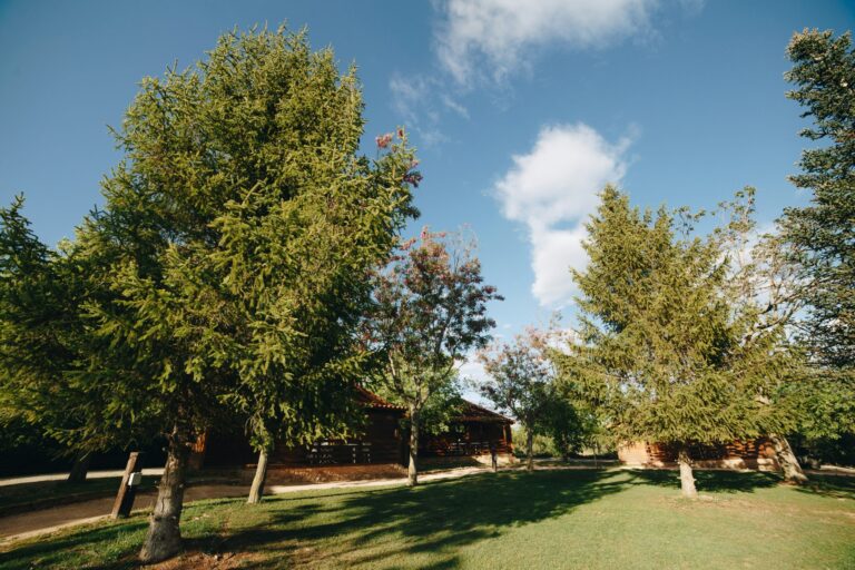 Camping De La Vall D'àger - Bild 2 Camping De La Vall D'àger - Bild 2