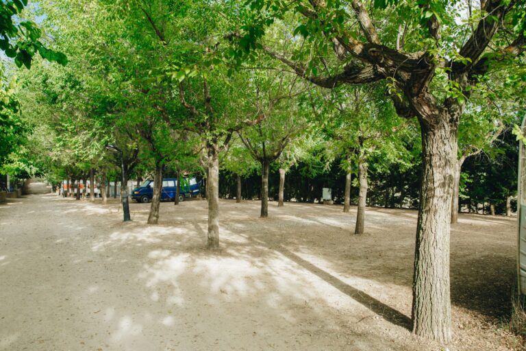 Camping De La Vall D'àger - Bild 8 Camping De La Vall D'àger - Bild 8