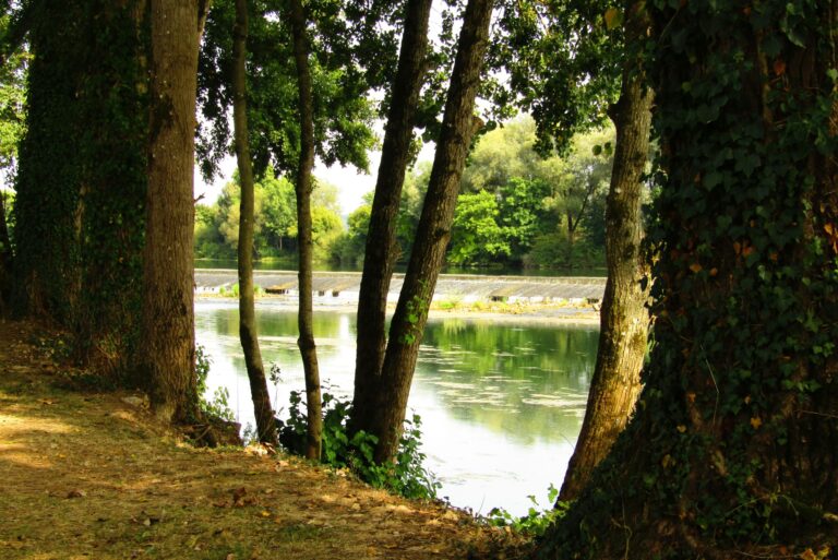 Camping De L' Ile - Bild 11