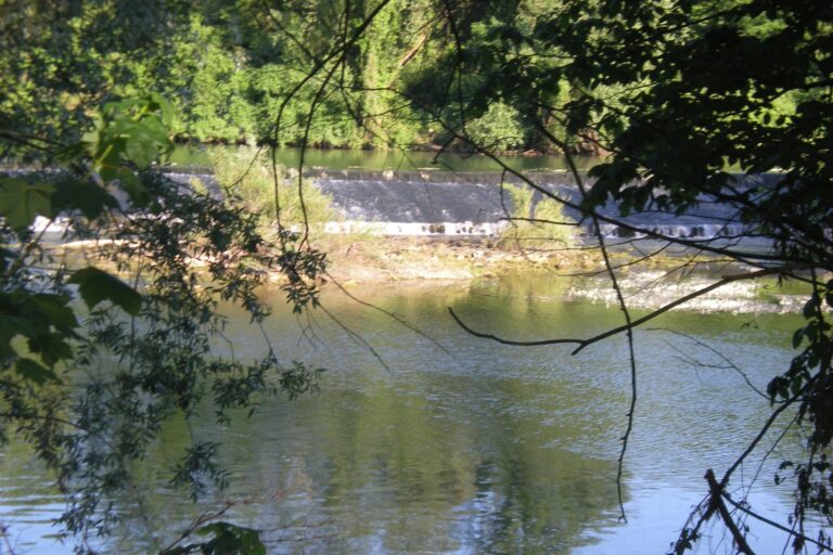 Camping De L' Ile - Bild 8