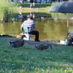 Camping De L'étang Du Pays Blanc - Bild 2