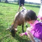 Camping De L'étang Du Pays Blanc - Bild 4