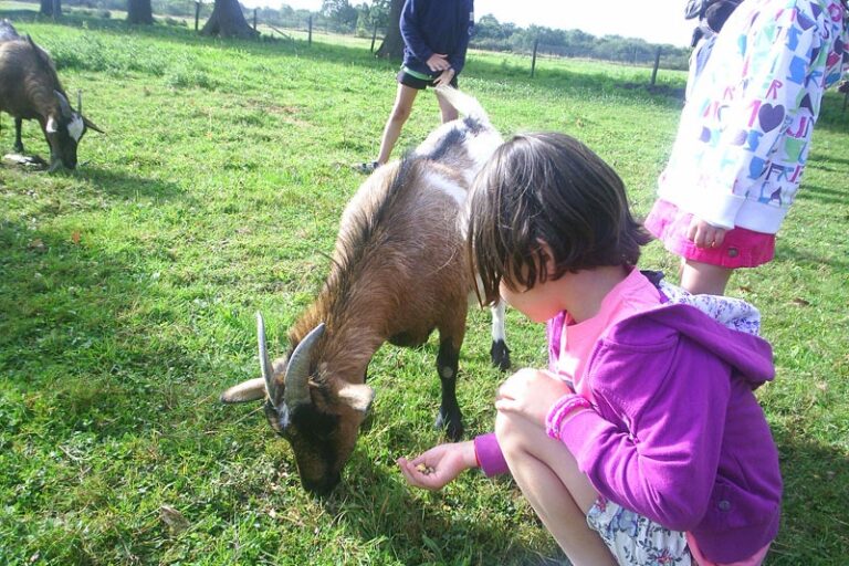 Camping De L'étang Du Pays Blanc - Bild 4