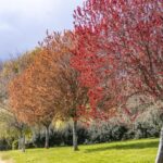 Camping De Locouarn - Bild 5 Camping De Locouarn - Bild 5