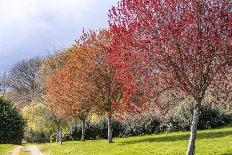 Camping De Locouarn - Bild 5 Camping De Locouarn - Bild 5