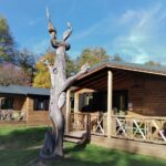 Camping De Masevaux - Bild 4 Camping De Masevaux - Bild 4