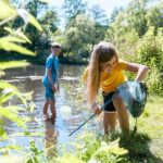 Camping De Pallegarste - Bild 16 Camping De Pallegarste - Bild 16