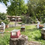 Camping De Paris - Bild 10