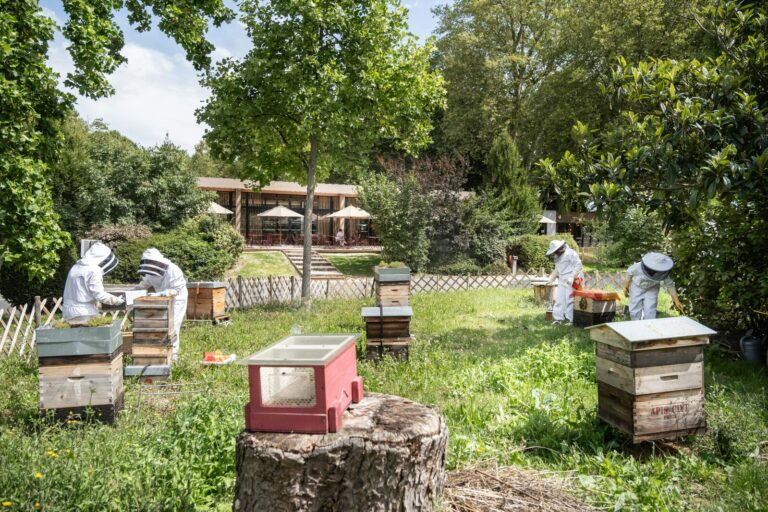 Camping De Paris - Bild 10