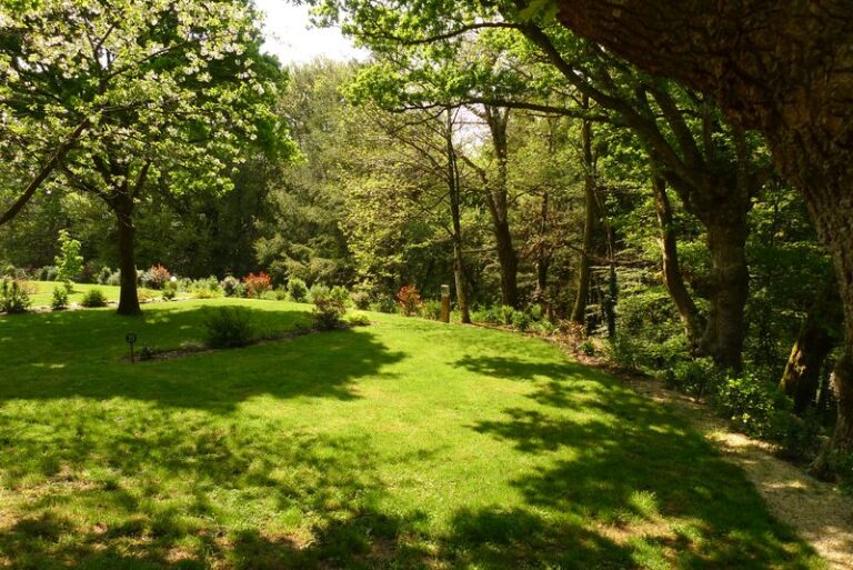 Camping De Pont Calleck - Bild 6