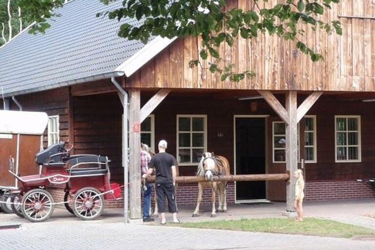 Camping De Reeënwissel - Bild 13