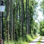 Camping De Rousant - Bild 8 Camping De Rousant - Bild 8