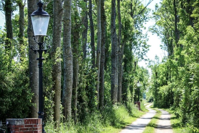 Camping De Rousant - Bild 8 Camping De Rousant - Bild 8