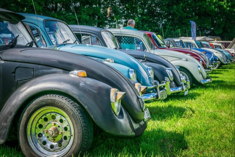 Camping De Tolbrug - Bild 15