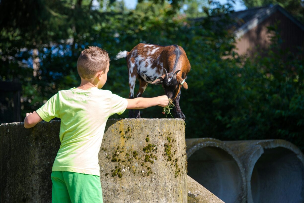 Camping De Wiltzangh - Bild 3 Camping De Wiltzangh - Bild 3