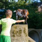 Camping De Wiltzangh - Bild 3 Camping De Wiltzangh - Bild 3