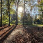 Camping De Zeven Heuveltjes - Bild 7