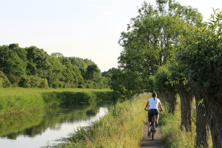 Camping Delftse Hout - Bild 10